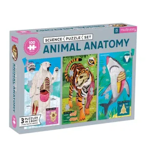 Animal Anatomy