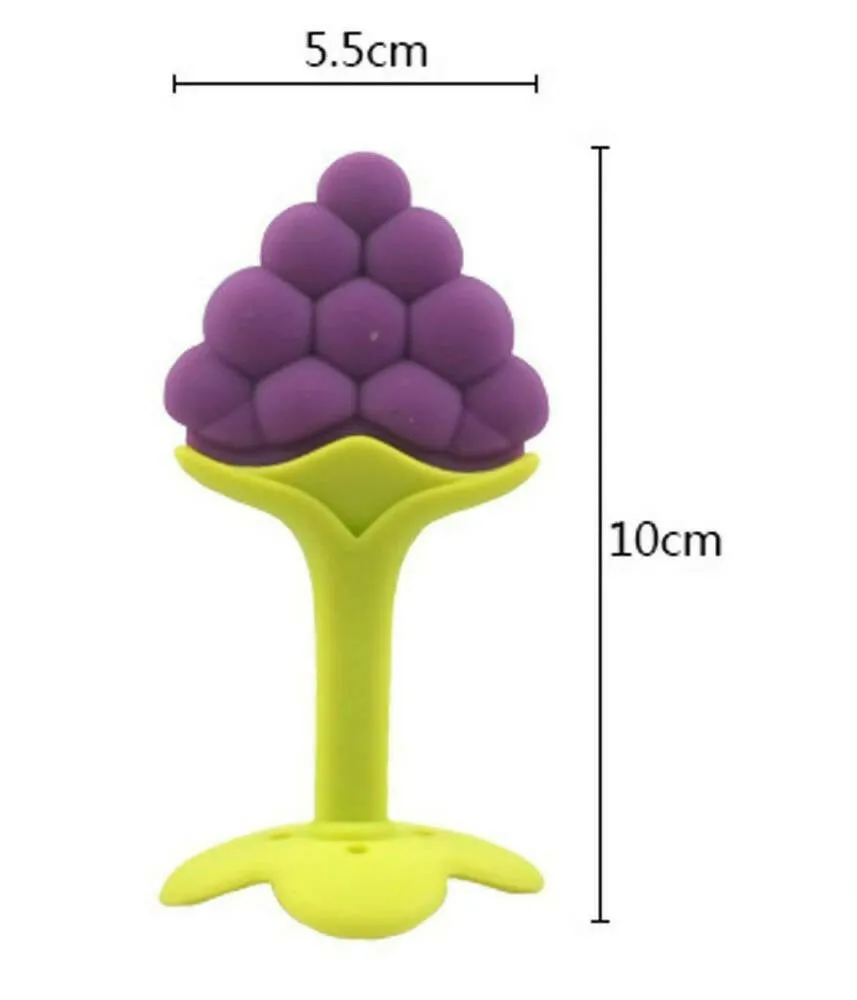 BabyGo Silicone BPA Free Natural Organic Nipple Teethers With Storage Box
