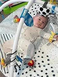 Garden Bug Baby Rattle Socks & Wrist Rattles Set
