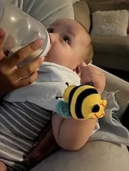 Garden Bug Baby Rattle Socks & Wrist Rattles Set