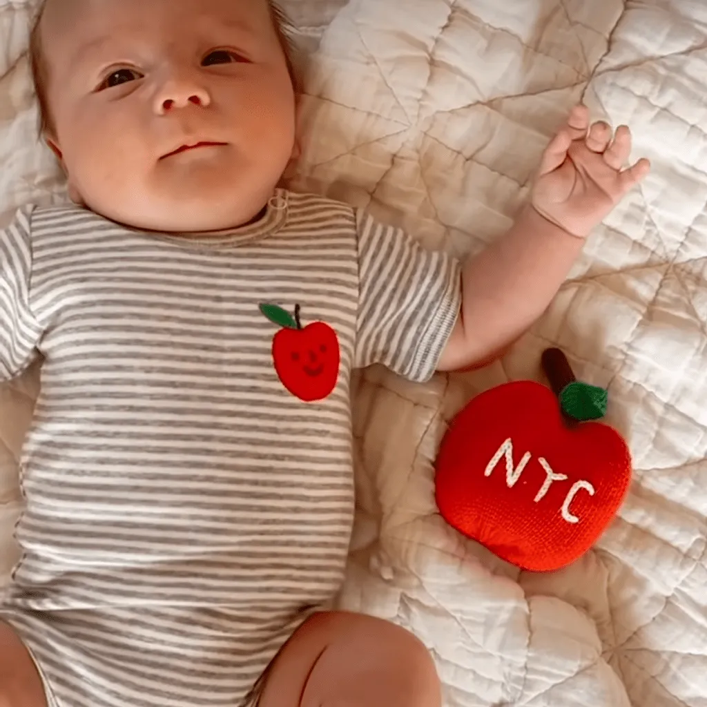 NYC Organic Baby Gift Set-Embroidery