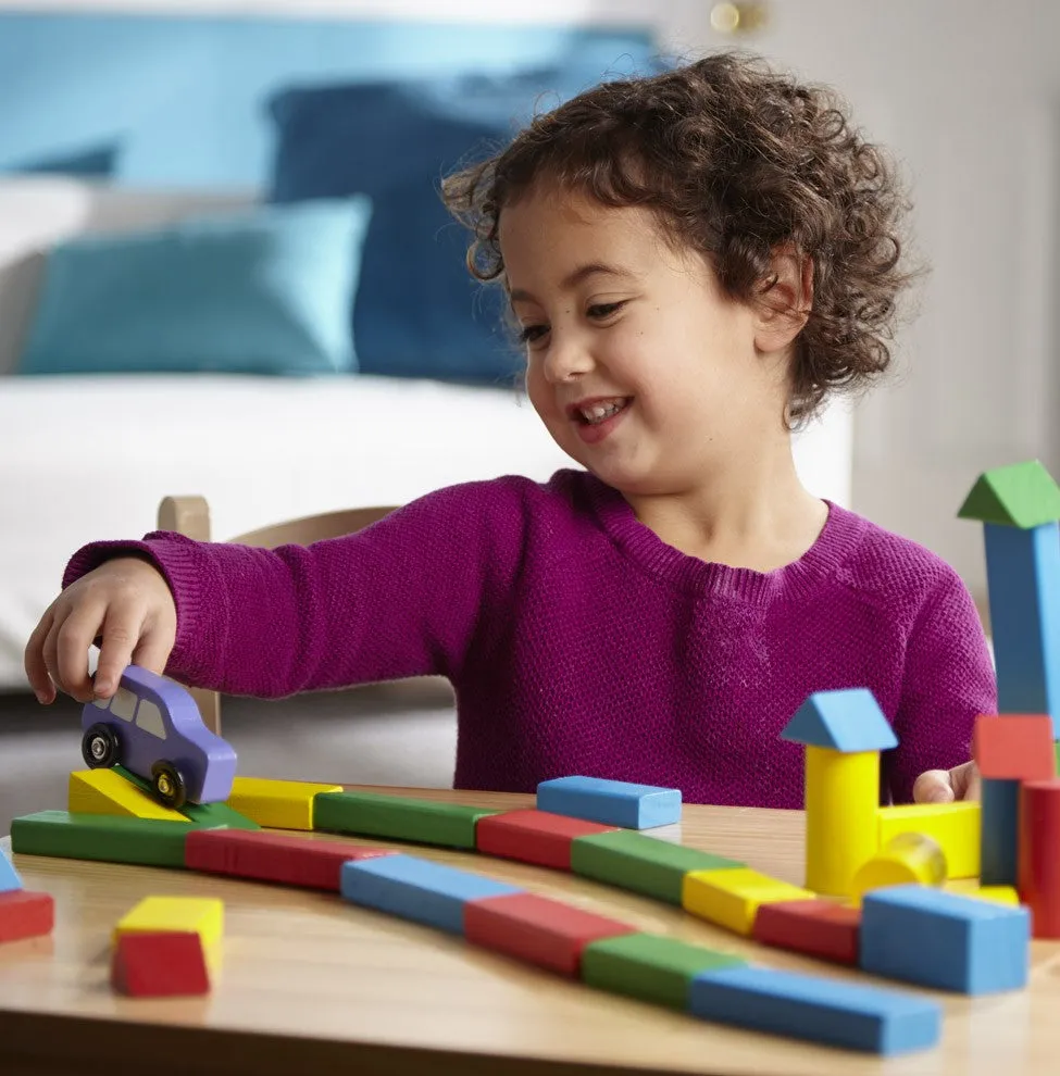 Painted Blocks - 100-Piece Set