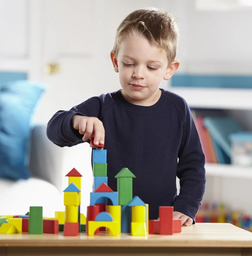 Painted Blocks - 100-Piece Set