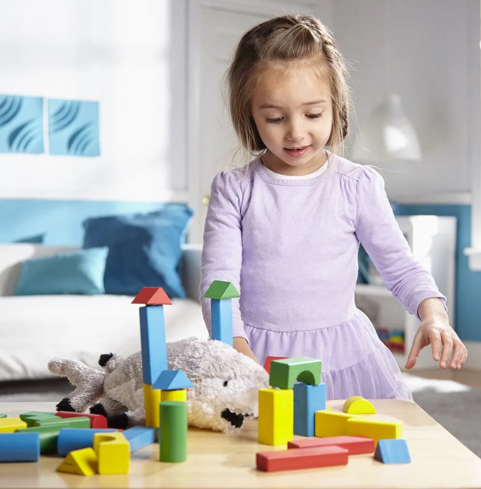 Painted Blocks - 100-Piece Set