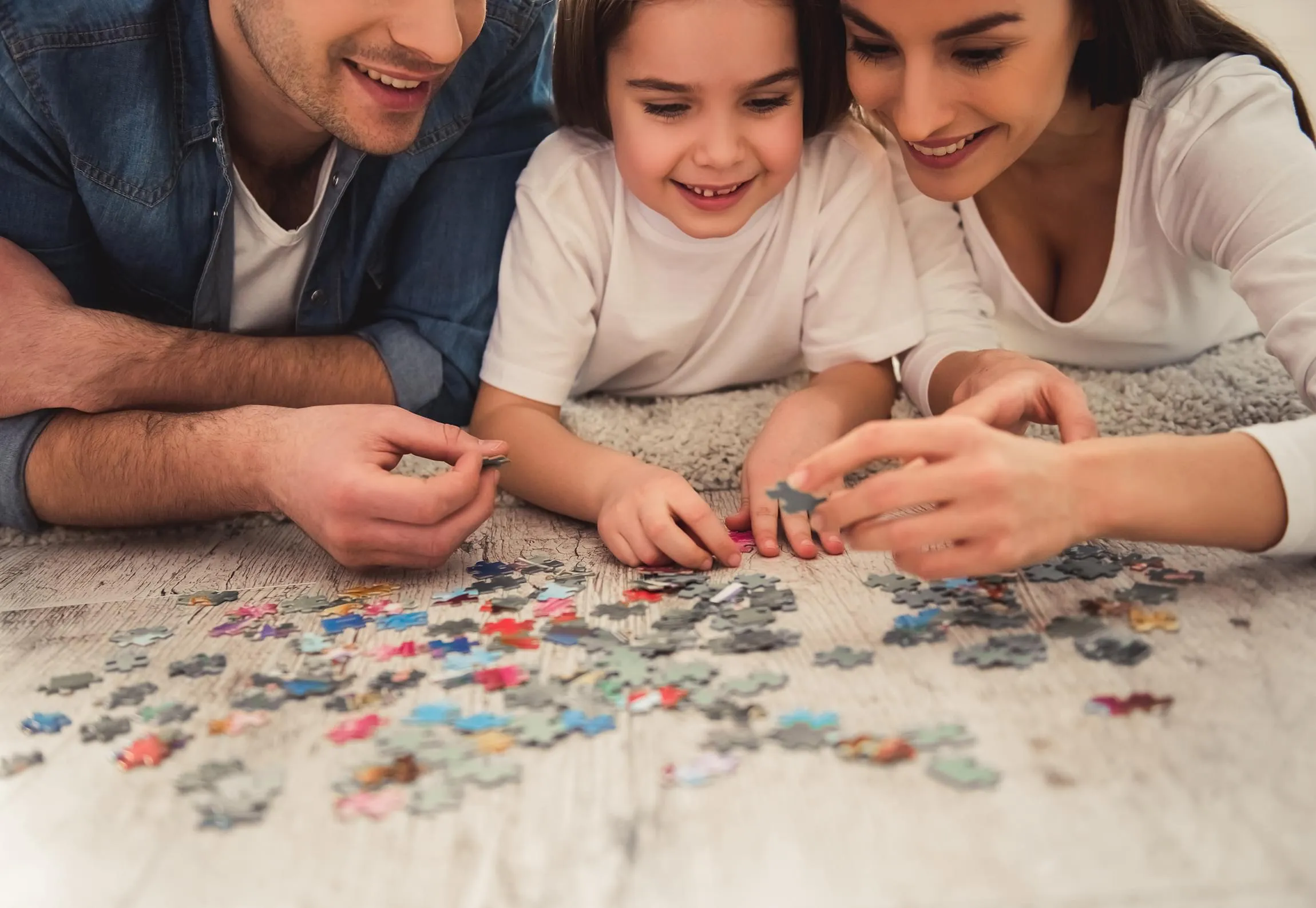 Painters Point 300 Piece Large EZ Grip Jigsaw Puzzle