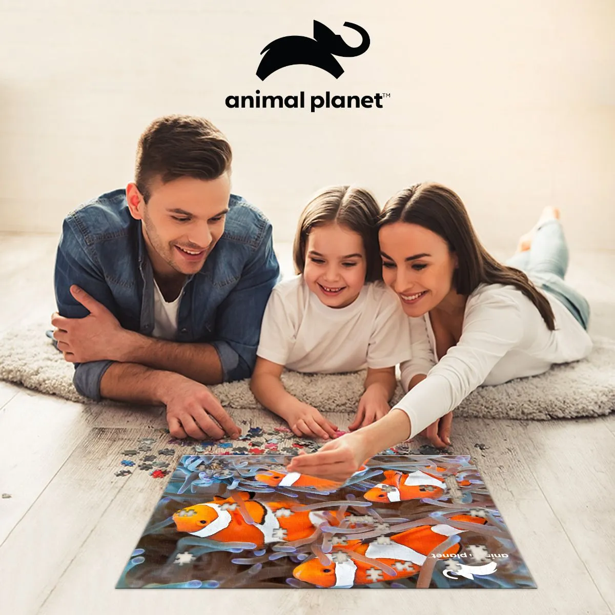 Prime 3D Puzzles - Animal Planet- Clown Fishes 500 pcs Puzzle