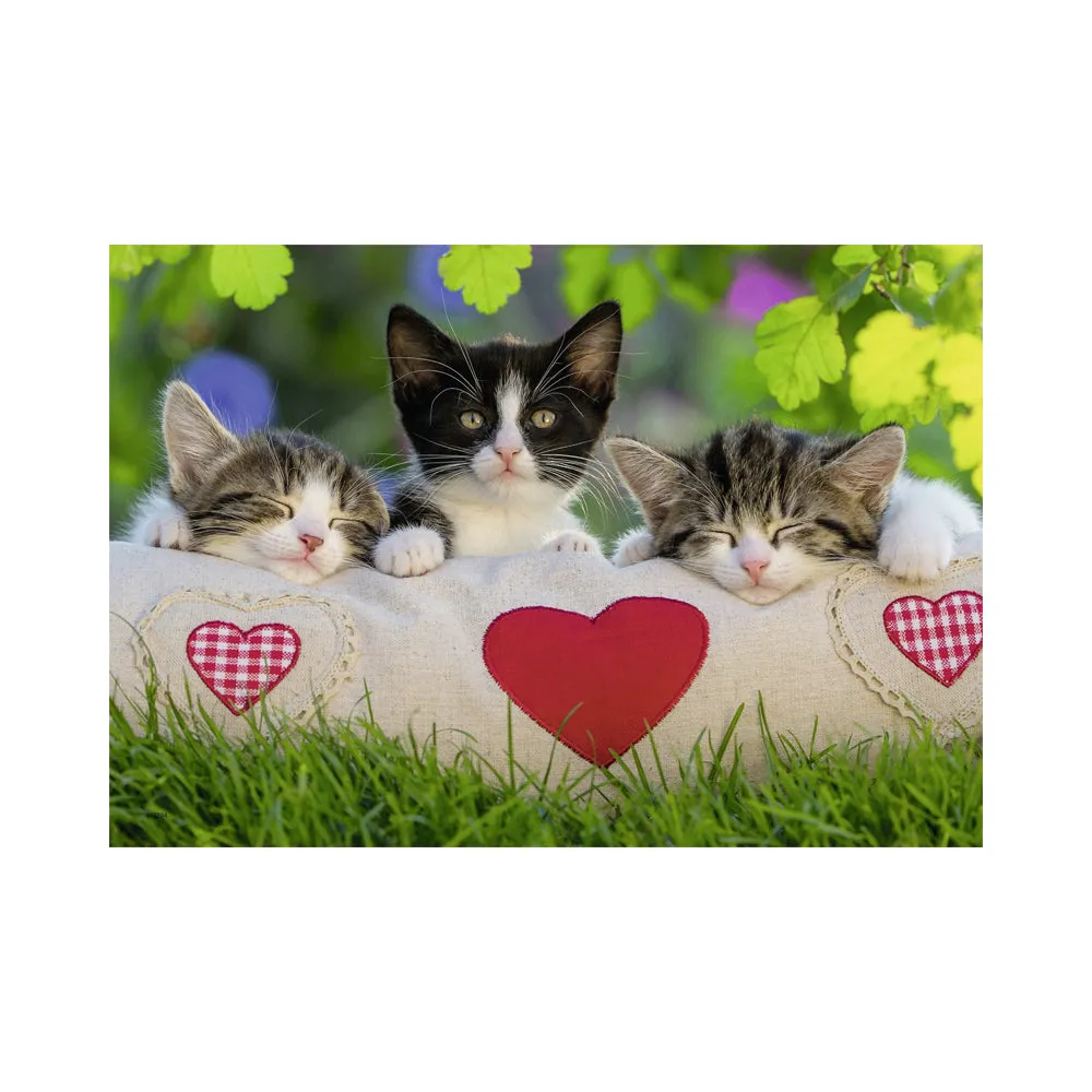 Ravensburger Sleepy Kitten 2 x 24pc Puzzles