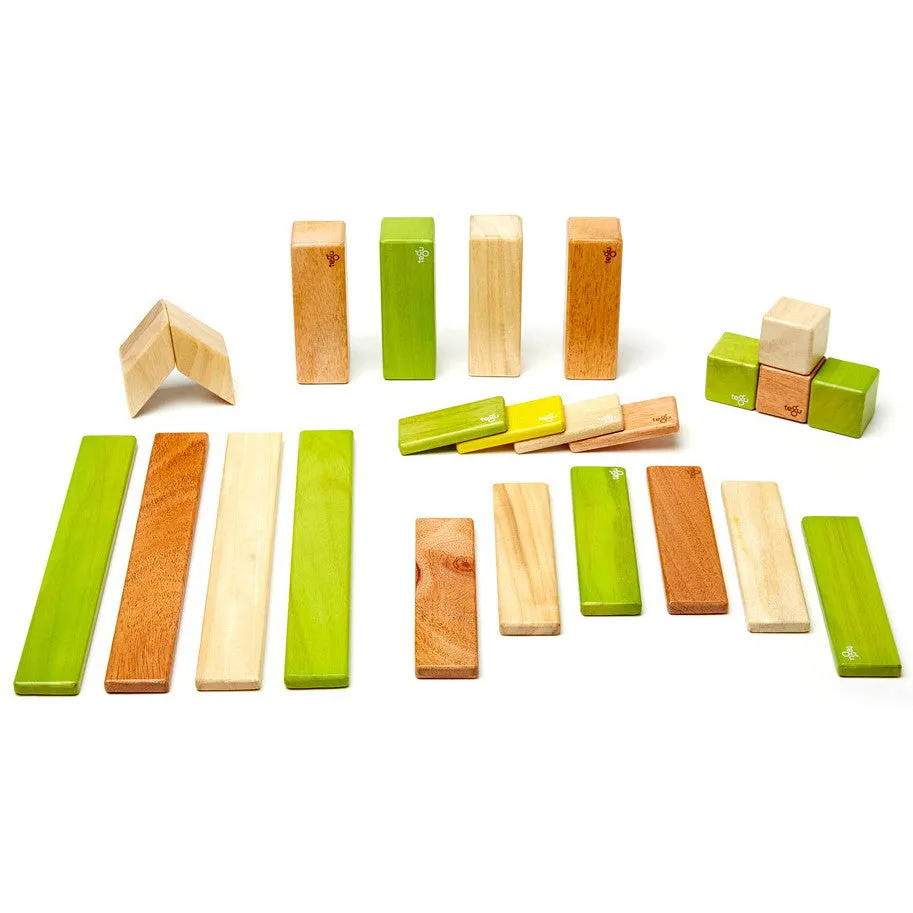 Tegu Jungle Magnetic Wooden Block 24 Pieces