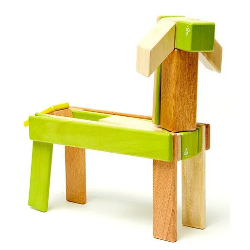 Tegu Jungle Magnetic Wooden Block 24 Pieces