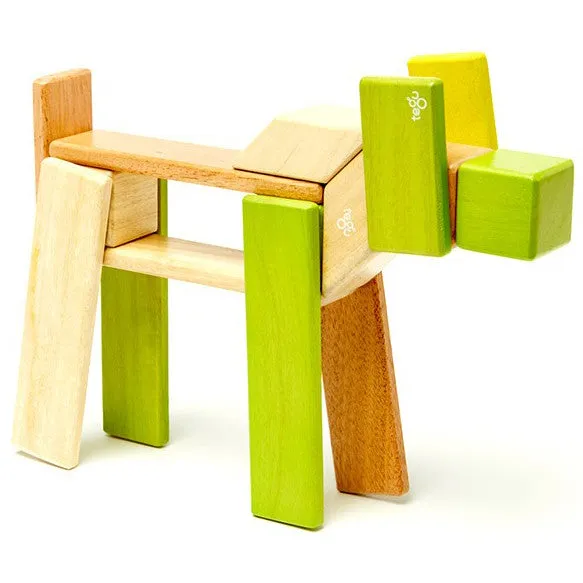 Tegu Jungle Magnetic Wooden Block 24 Pieces