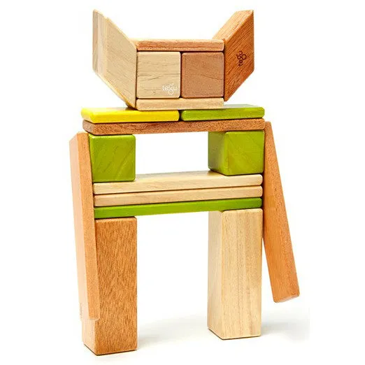 Tegu Jungle Magnetic Wooden Block 24 Pieces