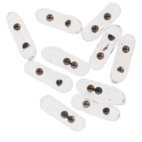 Wapsi Glass Rattles